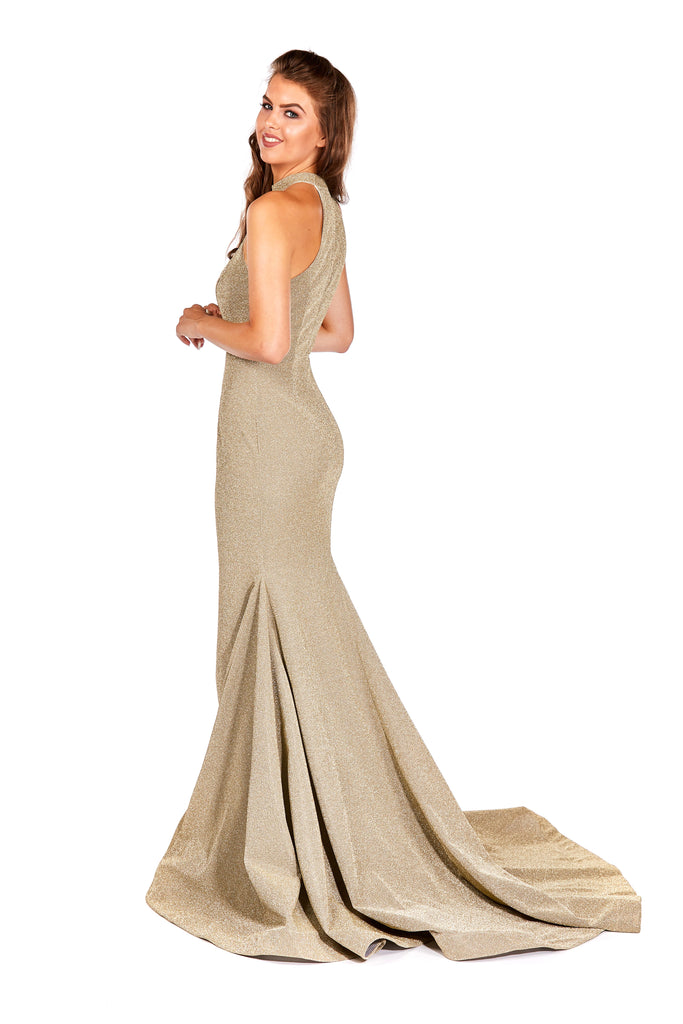 Olivia - Gold Glitter Figure Hugging Jersey Dress